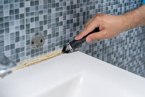Best Mold Testing and Inspection Services in Orange Beach, AL